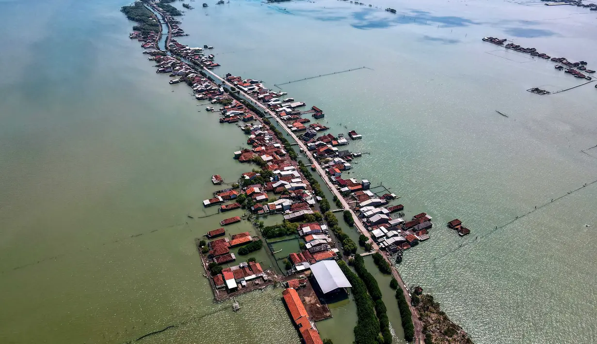 Foto yang diambil pada 30 Juli 2025 menunjukkan pemandangan udara rumah-rumah yang sebagian terendam akibat kehilangan lahan akibat perubahan iklim di Desa Bedono, Demak, Jawa Tengah. (BAY ISMOYO/AFP)