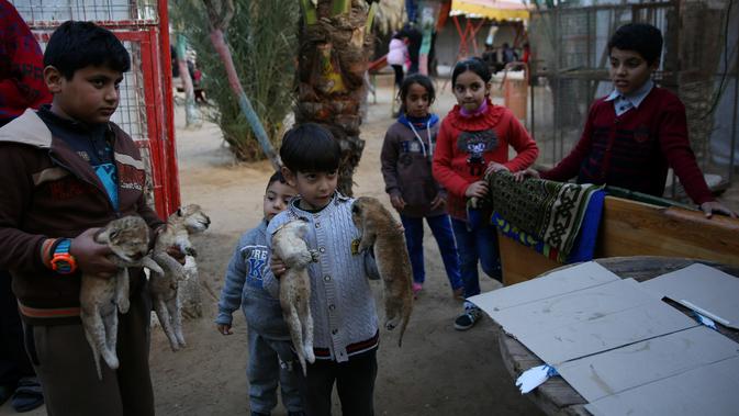 Dua anak membawa mayat empat anak singa yang siap dikuburkan di kebun binatang di kamp pengungsi Rafah, Gaza (18/1). Empat anak singa tersebut tewas pada pagi hari jelang berlangsungnya badai musim dingin.  (AP Photo/Adel Hana)