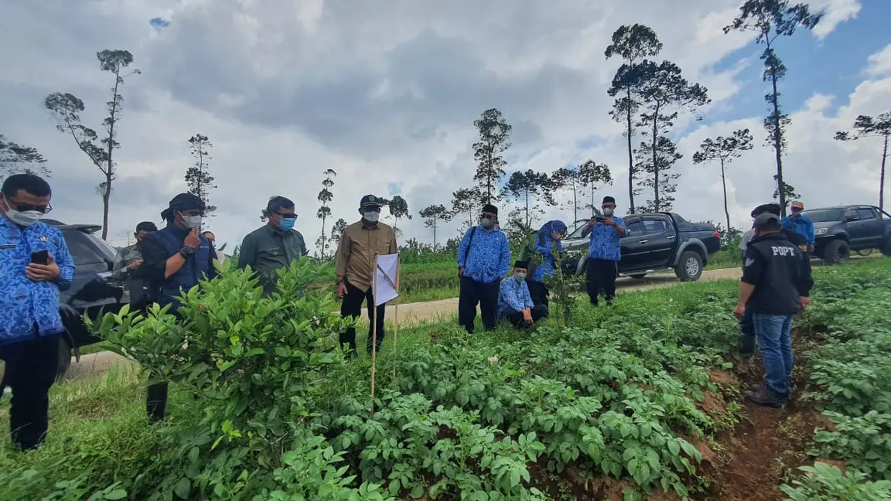 Bupati Garut bersama petani dan perwakilan Kementerian Pertanian RI saat melakukan panen perdana tanaman kentang sistem upland di Desa Sukawargi, Kecamatan Cisurupan Kabupaten Garut, Kamis lalu.