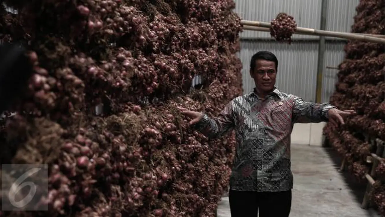 Sektor Pangan Penuh Dengan Anomali, Ini Solusi Kementan