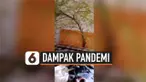 vertical bambu