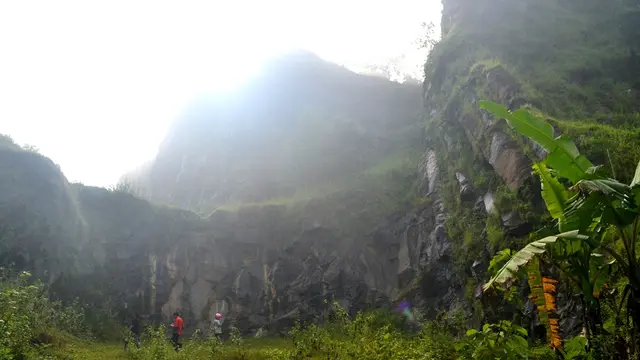Misteri Pohon Keramat Berusia Ratusan Tahun yang Tumbuh di atas Batu Purba