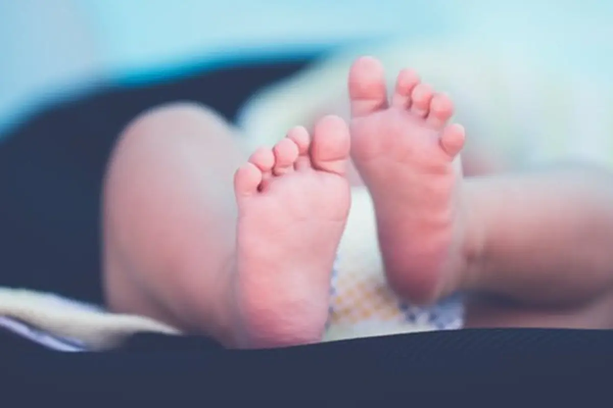 copyright by Pexels.com