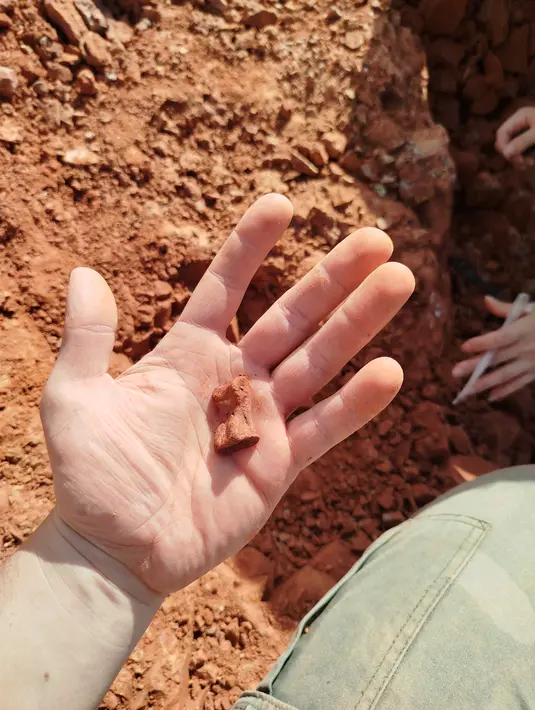Fosil ini pertama kali diidentifikasi pada bulan Mei di dekat kota Sao Joao do Polesine, sekitar 280 kilometersebelah barat Porto Alegre, di bagian pampas Brasil yang dijuluki 'El Dorado' dalam paleontologi negara tersebut. (Handout / Federal University of Santa Maria / AFP)