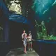 Aquarium memberikan pengalaman visual yang kuat melalui tampilan berbagai jenis ikan dan biota laut (Sumber: Pexels.com)