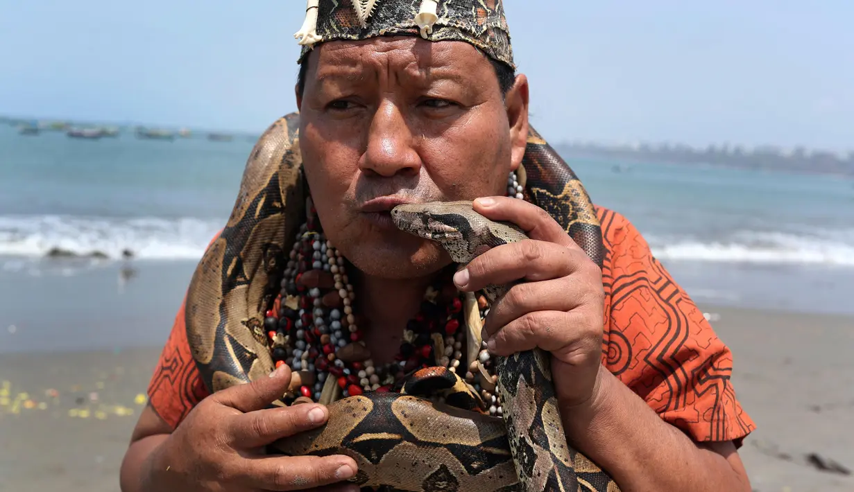 Seorang dukun Peru mencium ular selama ritual untuk menyambut tahun baru  di pantai Agua Dulce, Lima, Kamis (27/12). Ritual dimaksudkan untuk membawa kekuatan dan energi ke seluruh dunia sehingga ada kedamaian dan ketenangan. (AP/Martin Mejia)