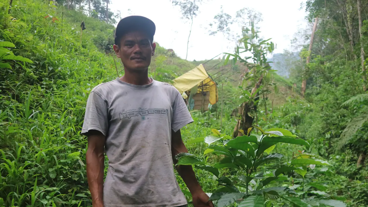 Petani kopi di Jorong Koto Lamo, Nagari Lubuk Karak, Kecamatan IX Koto, Dharmasraya. (Liputan6.com/  Nabhan Aiqani)