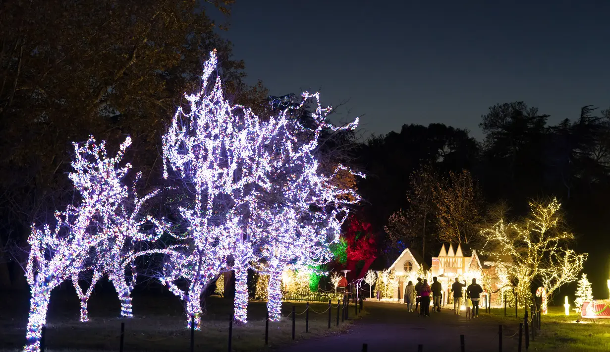 Pengunjung melihat tampilan lampu Natal pada pertunjukan cahaya Holiday Road di Calabasas, California, Amerika Serikat, 10 Desember 2021. Holiday Road digelar sepenuhnya setelah pandemi COVID-19 mengubah festival cahaya tahunan ini menjadi acara drive-thru tahun lalu. (AP Photo/Jae C.Hong)