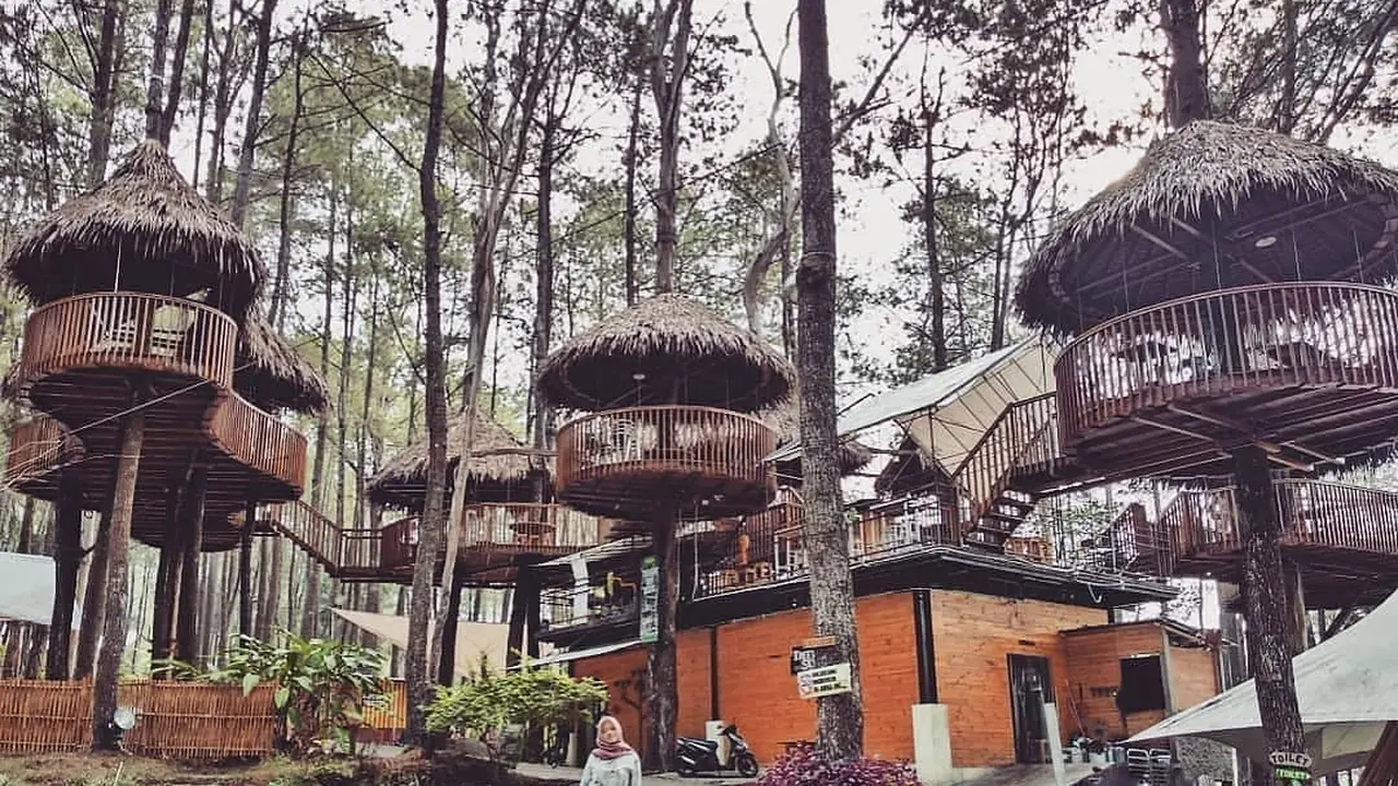 Kopeng Treetop Adventure Park