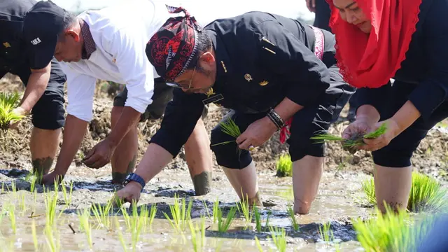 Kementan