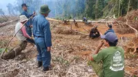 KLHK menangkap warga perambah hutan di Luwu Timur