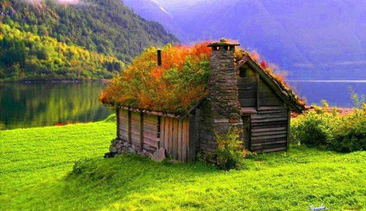 Rumah Unik Dengan Atap Rumput: Keren Abis Ladies - Photo Fimela.com
