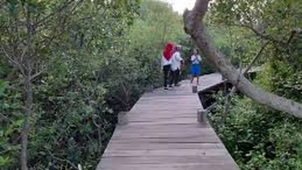 Destinasi wisata alam Kampung Blekok Situbondo (Istimewa)