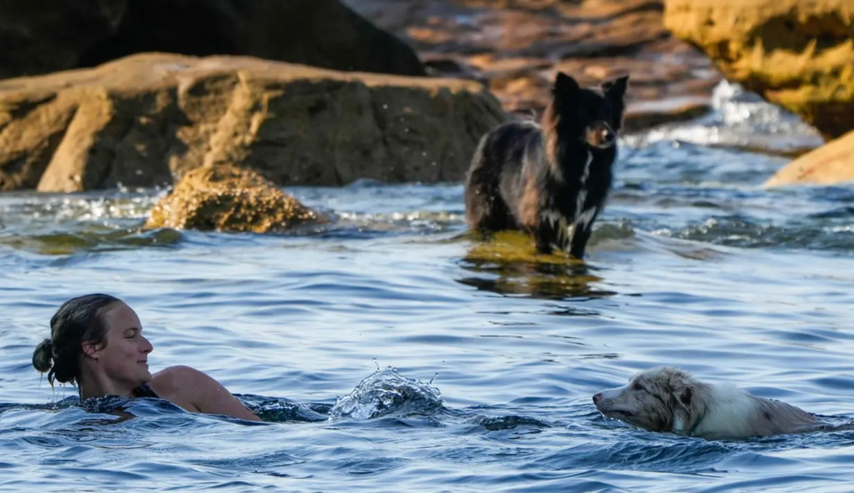 Setelah beberapa tahun basah, para ahli memperkirakan musim panas di Australia akan menjadi musim kebakaran hutan paling hebat sejak 2019-2020. (AP Photo/Mark Baker)
