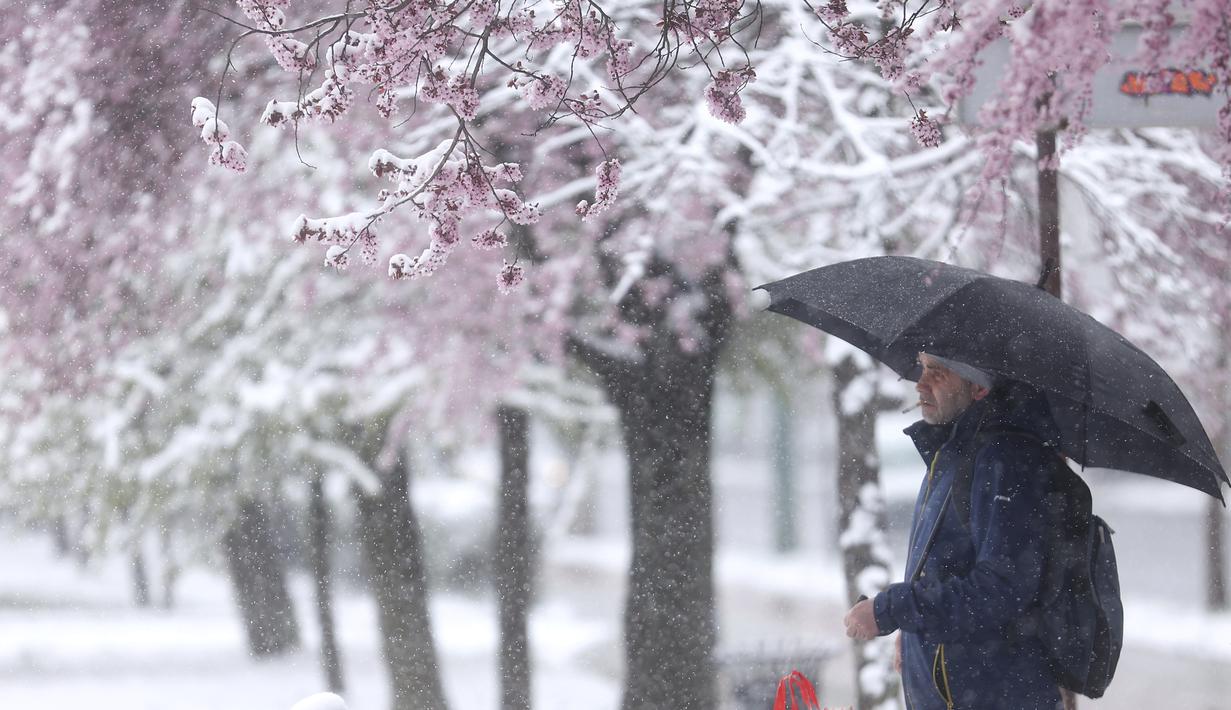 Salju memblokir beberapa jalan di selatan dan barat daya Serbia dan beberapa desa tidak mendapatkan aliran listrik, kata polisi dalam sebuah pernyataan, dan menghimbau agar berhati-hati. (AP Photo/Armin Durgut)