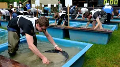 Seorang peserta bersaing mencari emas saat mengikuti kejuaraan Dunia Gold Panning Dirk Mehlhorn di Zlotoryja, Polandia, 28 Mei 2016. Kejuaraan tahunan di dekat Sungai Kaczawa ini diikuti penggali emas profesional dari seluruh dunia. (Piotr HAWALEJ/AFP)