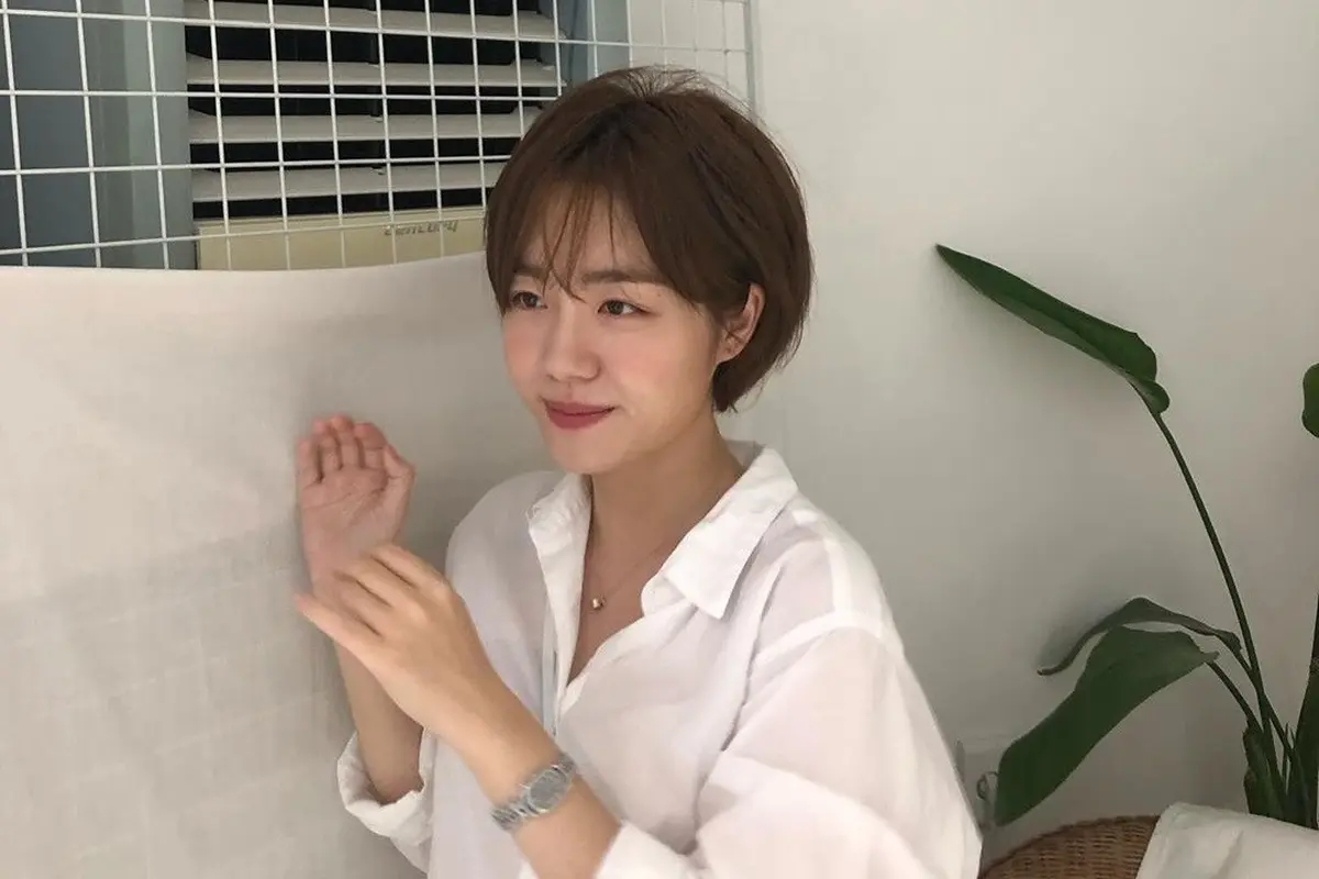 Poni ala Korea