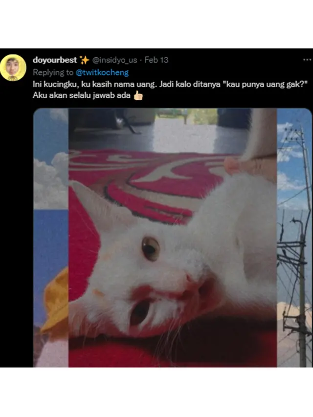 6 Nama Panggilan Kucing Ini Tak Biasa, Kocak Banget