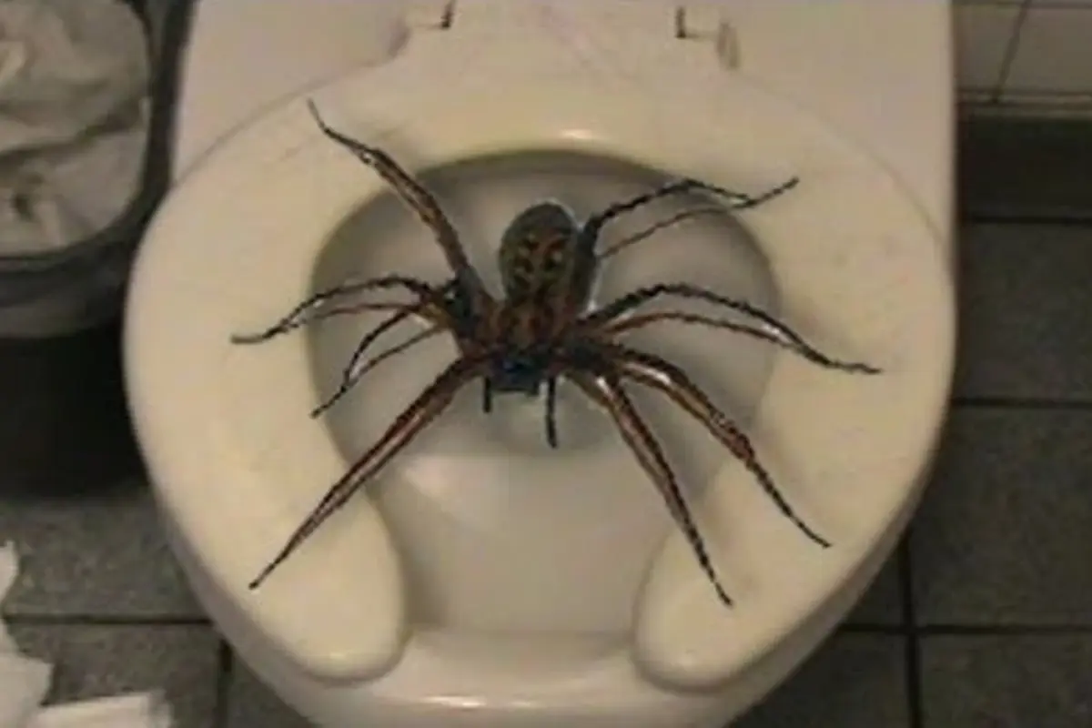 7 Toilet Ini Bikin Kamu Semangat untuk Menahan Pipis
