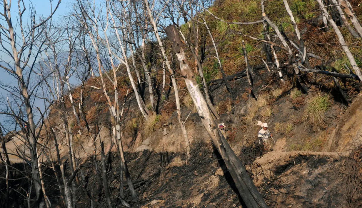 Beberapa orang melintasi jalur pendakian Gunung Ijen setelah mengalami kebakaran beberapa waktu lalu. Foto diambil pada Senin, (20/10/2014). (Liputan6.com/Helmi Fithriansyah)