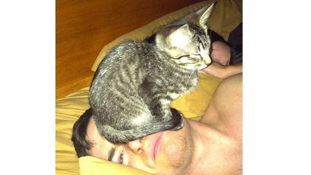 7 Tingkah Laku Nyeleneh Hewan Peliharaan Ini Bikin Geregetan