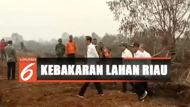 Sambil mendengarkan laporan dan penjelasan dari Satgas Karhutla setempat, Jokowi juga melihat langsung proses pemadaman lahan.