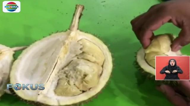 Pedagang durian sudah bersiap jika durian dijadikan salah satu bahan kuliner dalam acara ngunduh mantu Bobby-Kahiyang.
