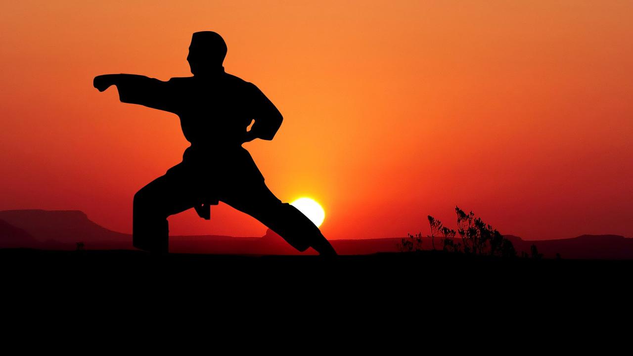 ilustrasi karate  (sumber: Pixabay)
