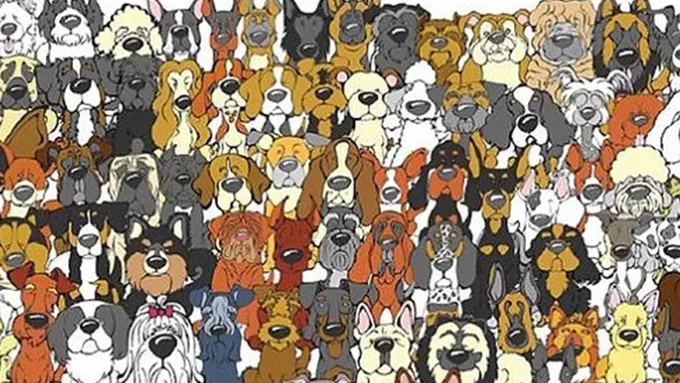 Photo: Copyrigh dailymail.co.uk