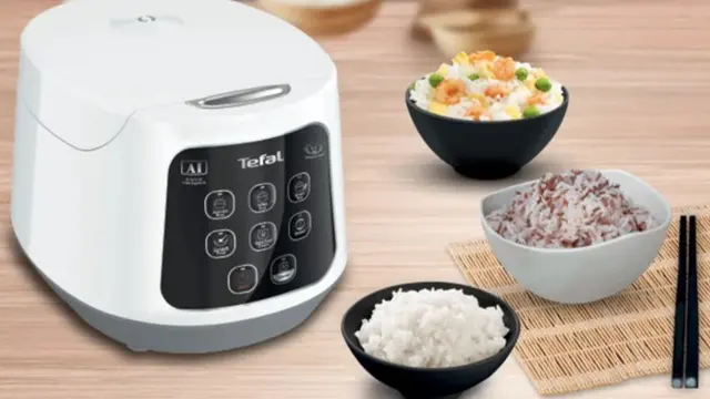 Magic Com Multifungsi Bisa Masak Sup, Goreng, hingga Kue