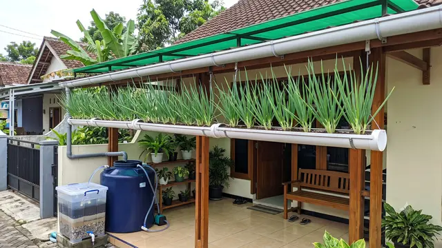 Model Teras dengan Daun Bawang dalam Talang PVC