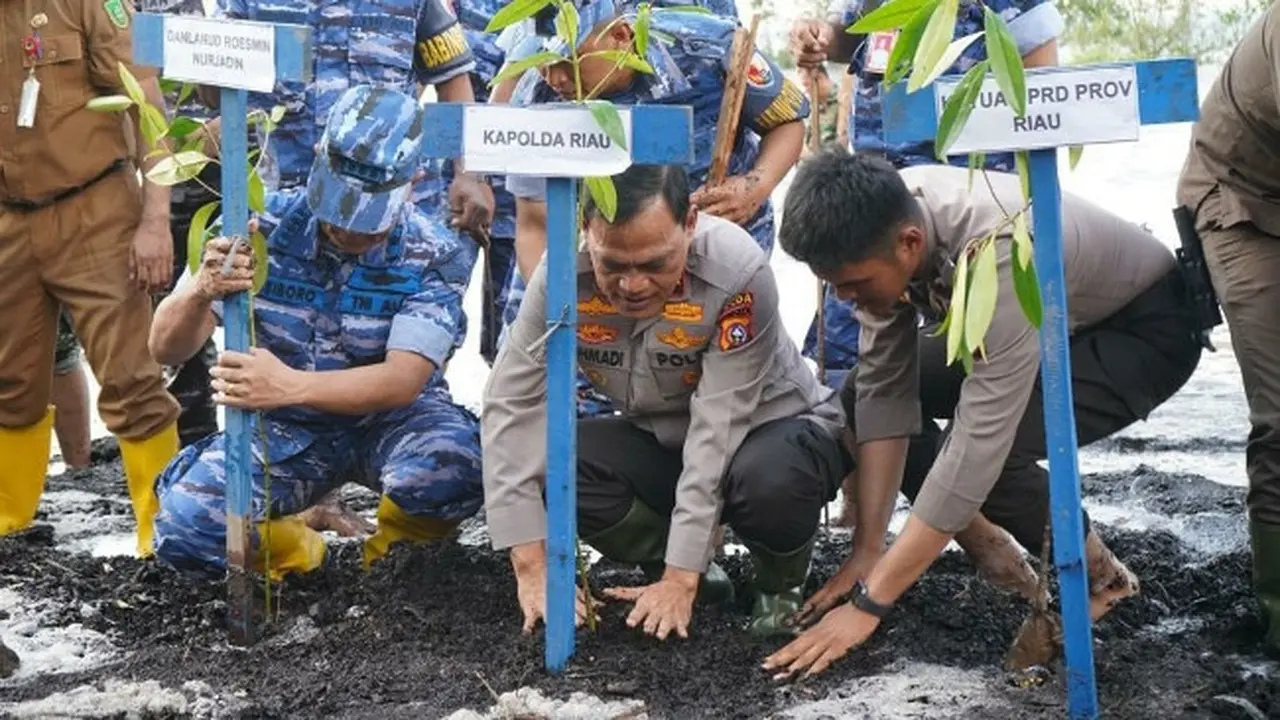 Wakil Kepala Polda Riau Brigjen Kasihan Rahmadi menanam mangrove untuk menjaga bibir pantai di Riau.