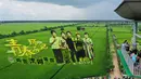 Para turis mengunjungi sawah dengan gambar yang dibuat dari berbagai varietas padi di Shenyang, Provinsi Liaoning, China, 17 Agustus 2021. (STR/AFP)