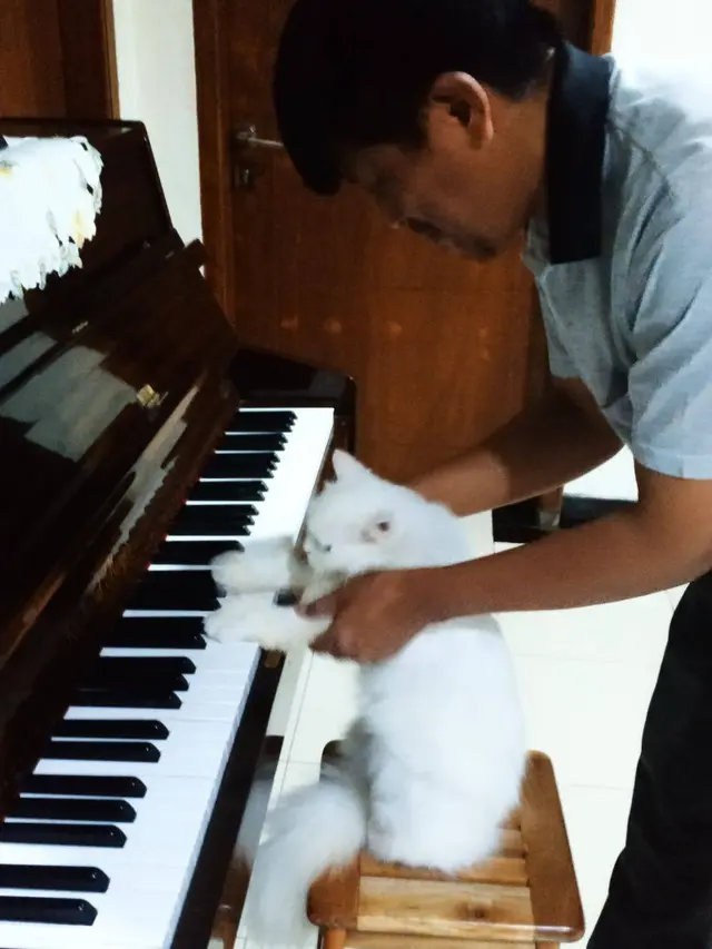 7 Potret Absurd Bapak-Bapak Momong Kucing Bak Anak Sendiri Ini Kocak