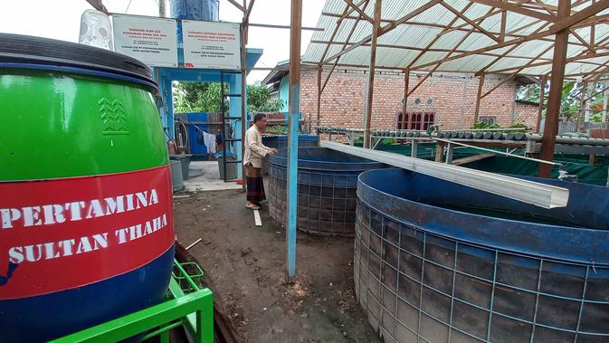 <p>Budidaya lele melalui sistem aquaponik yang dikelola UMKM Dapoer 29 di Kelurahan Eka Jaya. (Liputan6.com/Gresi Plasmanto)</p>
