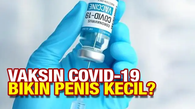 Thumbnail cek fakta vaksin vs penis