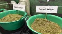 Kratom Kapuas Hulu