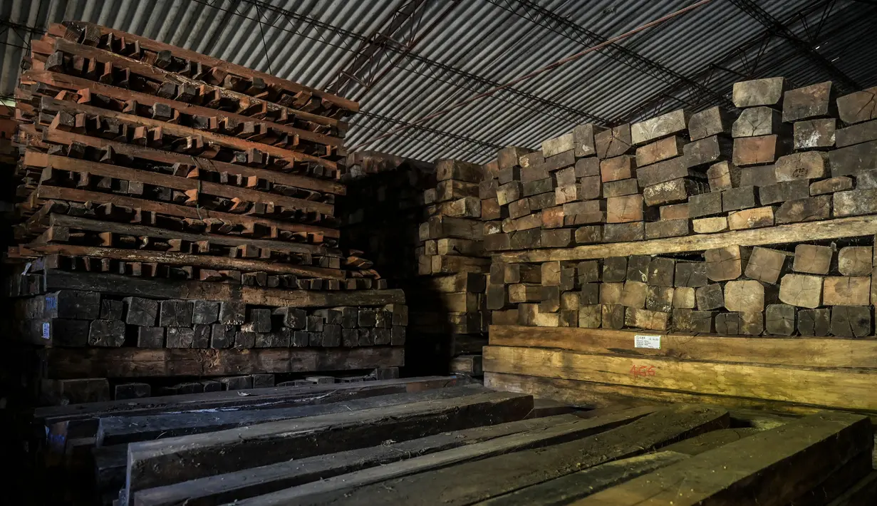 Pemandangan kayu ilegal di sebuah gudang di kotamadya Socorro, Santader, Kolombia, pada 3 Desember 2023. (Juan BARRETO/AFP)