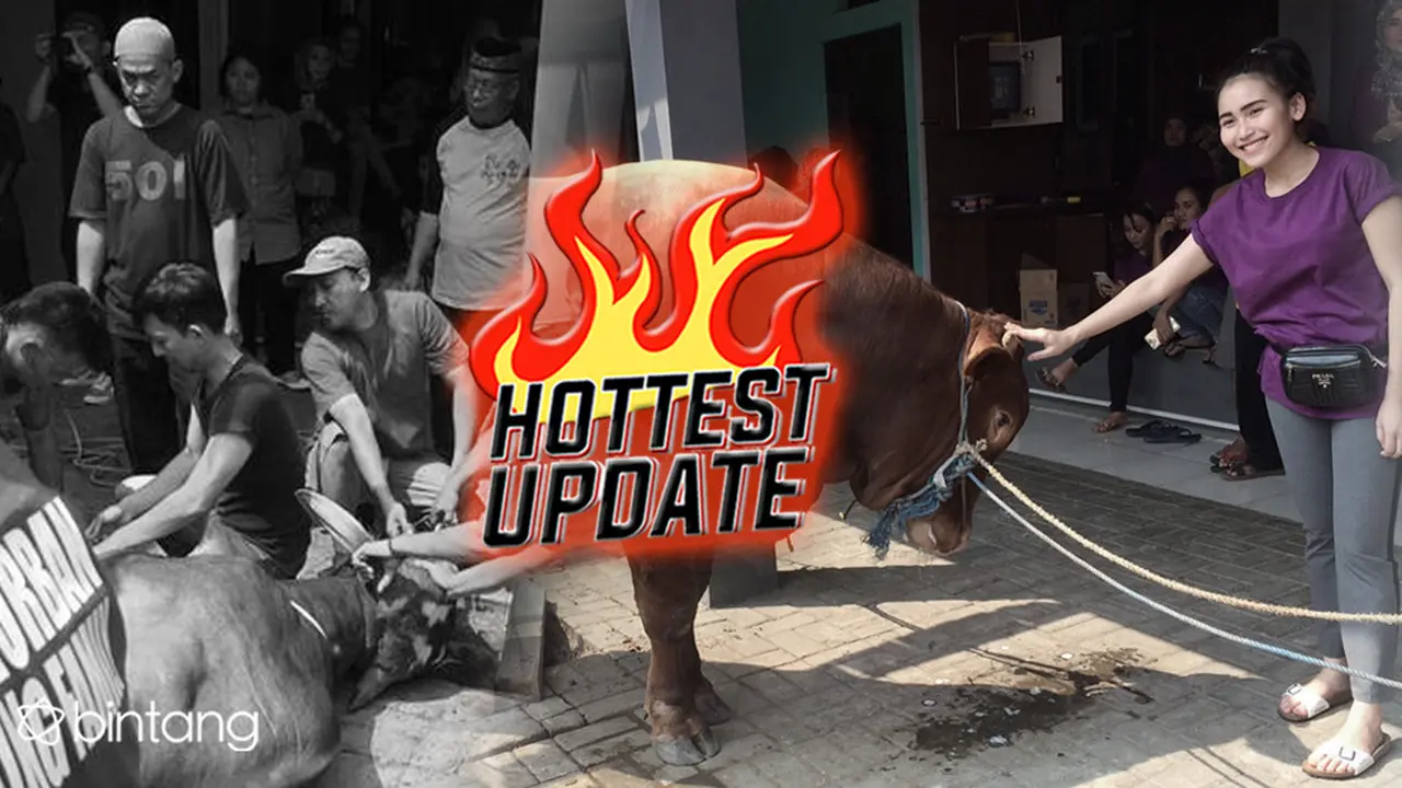 [bintang] HL Hottest Update Ayu Ting Ting