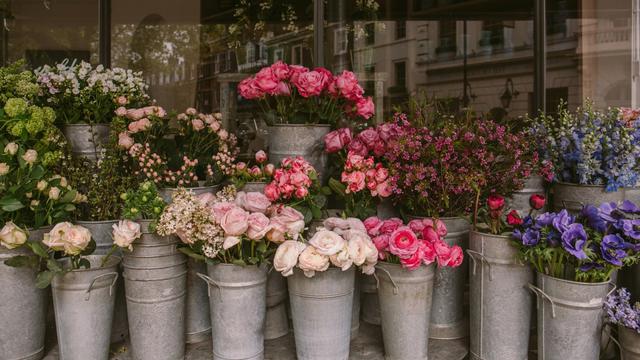 Ilustrasi macam-macam bunga