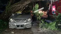 Pohon tumbang menimpa sebuah mobil di Bogor.