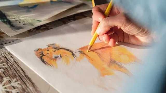 Menggambar untuk Relaksasi, Cara Kreatif Menemukan Ketenangan dan Kebahagiaan