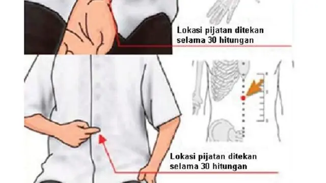 Mual dan Muntah