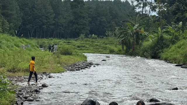 Destinasi wisata baru di Bumi Blambangan hadir dengan julukan Swiss-nya Banyuwangi (Istimewa)