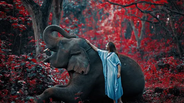 7 Pemotretan Ashanty Bersama Gajah di Bali Ini Curi Perhatian
