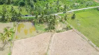 Tingkatkan Produktivitas Petani, Kementan Realisasikan Bantuan RJIT di Melawi