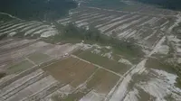 Tampak udara lahan food estate singkong yang telah diganti dengan varietas jagung di Desa Tewai Baru, Kecamatan Sepang, Kabupaten Gunung Mas, Selasa (23/1/2024). (Liputan6.com/Walhi Kalteng).