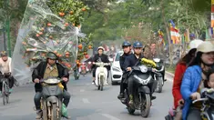 Warga mengangkut pohon Kumquat dan bunga Persik untuk menyambut Tahun Baru Imlek di Hanoi, Vietnam, Rabu (25/1). Tahun Baru Imlek - yang dikenal secara lokal sebagai Tet - merupakan hari libur Vietnam yang paling penting. (Hoang DINH Nam/AFP)