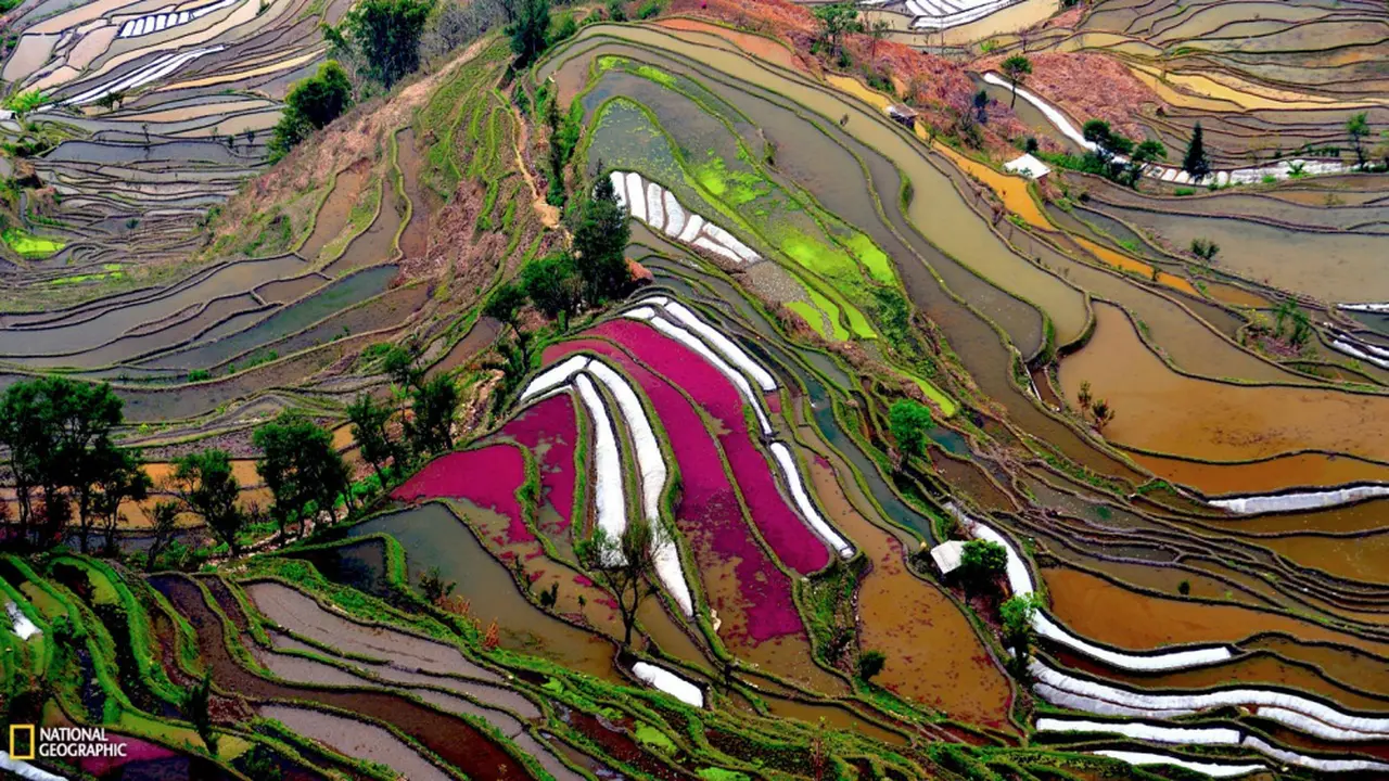 Yunnan, Provinsi
