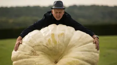 Graham Barrat berpose dengan labu seberat 319,8 kg yang memenangkan kompetisi pada hari pertama Harrogate Autumn Flower Show di Harrogate, Inggris, 14 September 2018. Berbagai macam hasil kebun berukuran raksasa meramaikan acara ini. (AFP/OLI SCARFF)